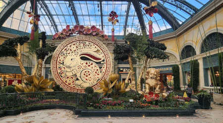Chinese New Year Means Days of Swine and Roses at Bellagio Conservatory